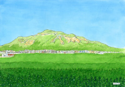 Tavernes general view oranges original for auction