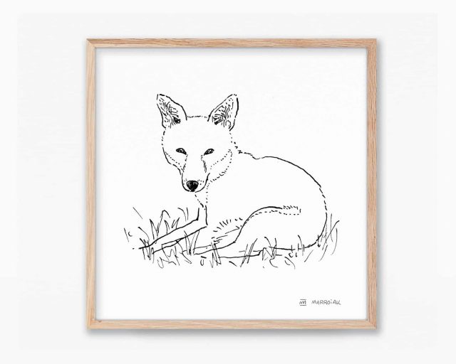 Cuadros de fauna de España y Comunidad Valenciana. Lámina ilustración de un zorro común (Vulpes vulpes) con dibujo en blanco y negro. Arte de naturaleza.